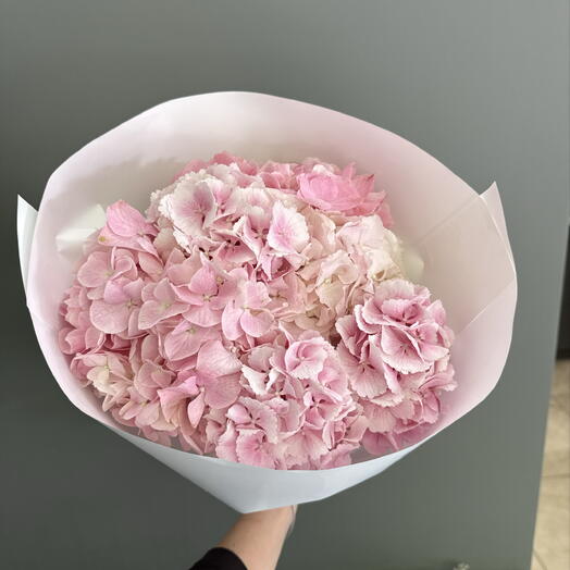 Pink Hydrangea Cloud (Size M)