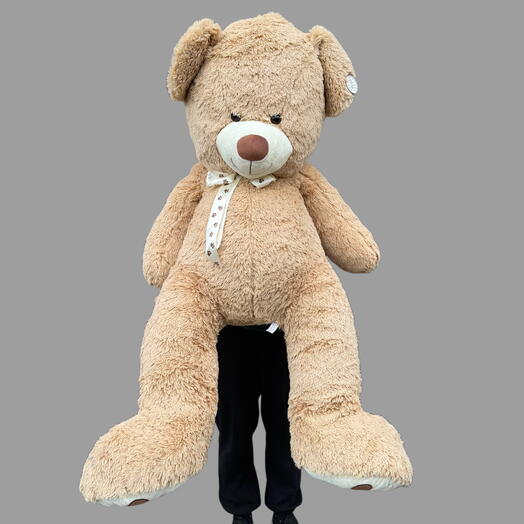 XXL plush teddy bear