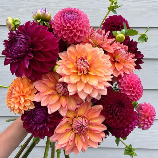 Season Bouquet