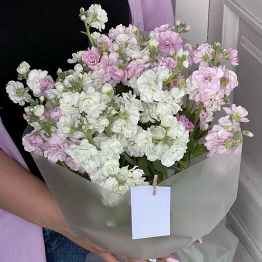 Bouquet of matiola Milky pink haze