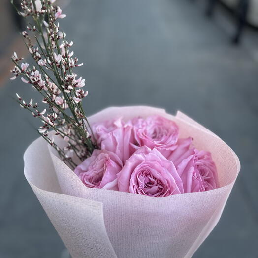 Pink O Hara Pink 5