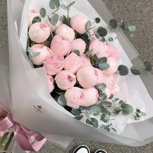 PINK PEONY ROSES / Mansfield Park, mini