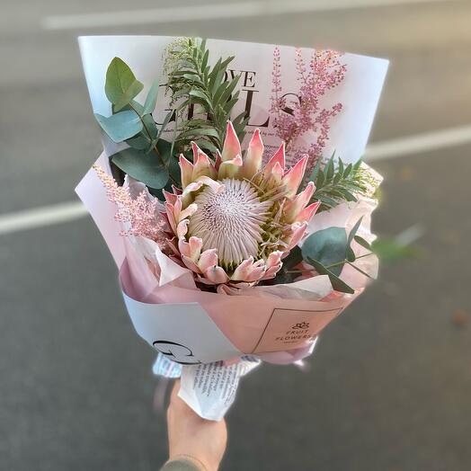 Protea