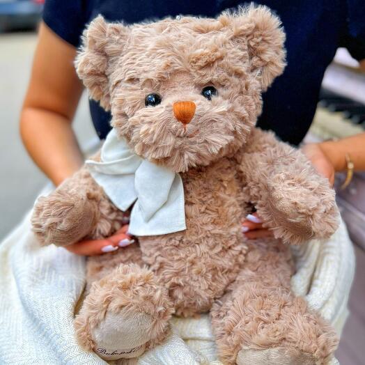 Teddy
