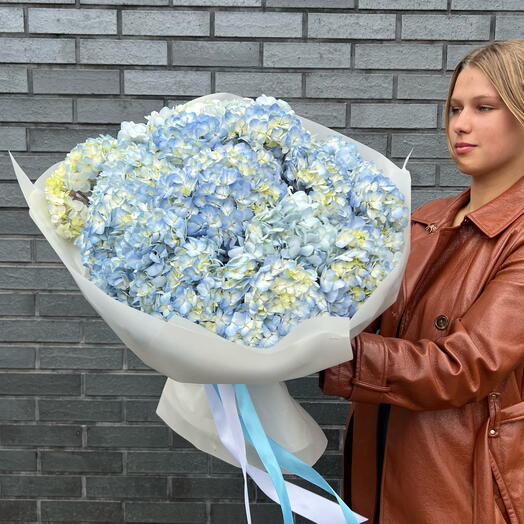 Mono Blue Hydrangeas Bouquet 11 stems