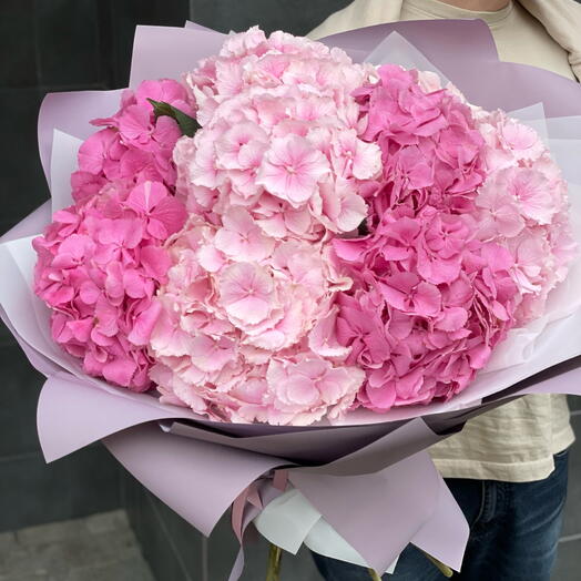 Rosy Cloud