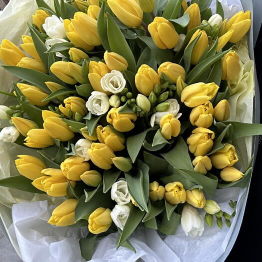 Spring