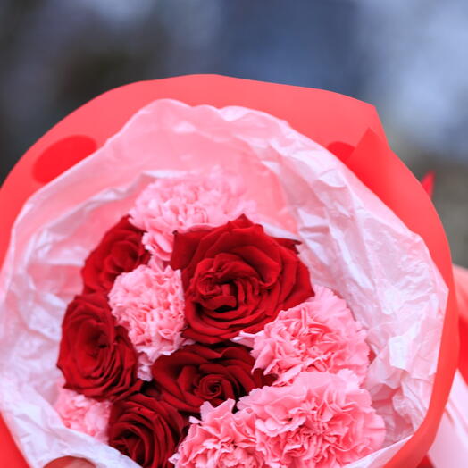 SCARLET KISS