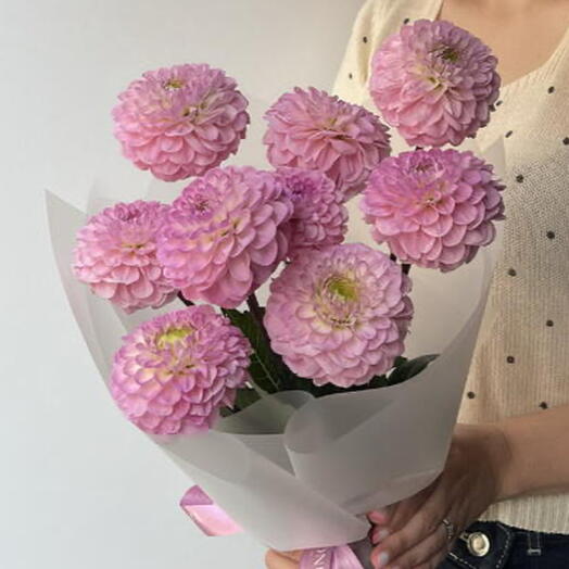 Dahlia 9 light pink