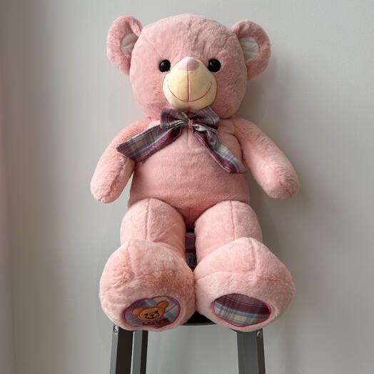 Pink teddy bear