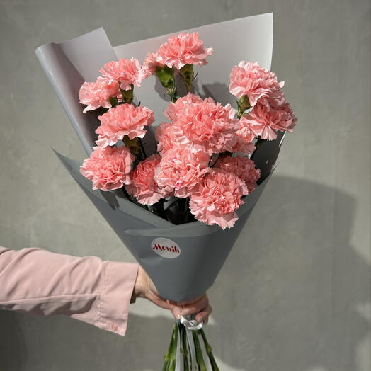 Dianthus pink 17