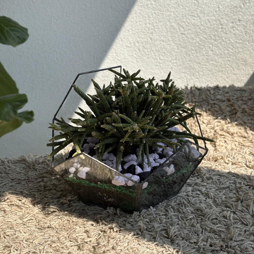 Florarium 36