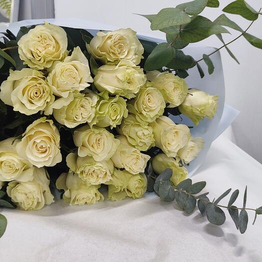 Premium White