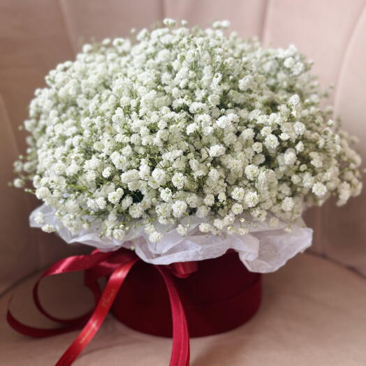 Baby's breath