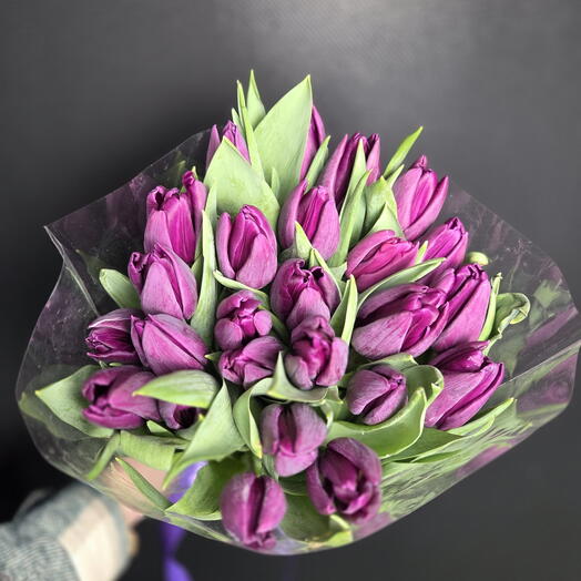 25 purple tulips 25 fioletowych tulipanow