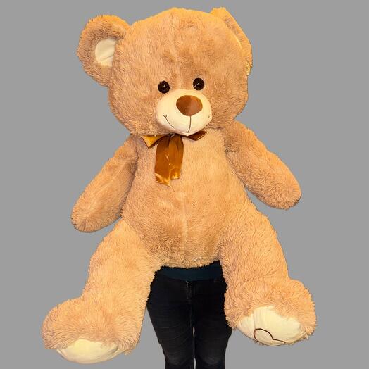 Teddy bear