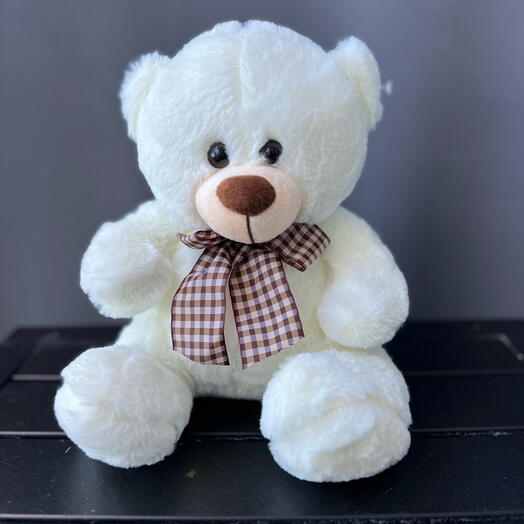 Teddy bear, M
