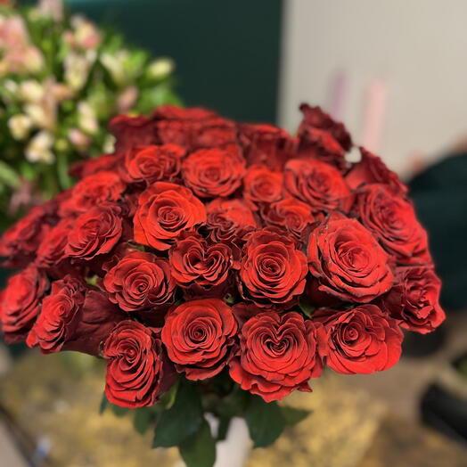 Red Radiant LOVE 15
