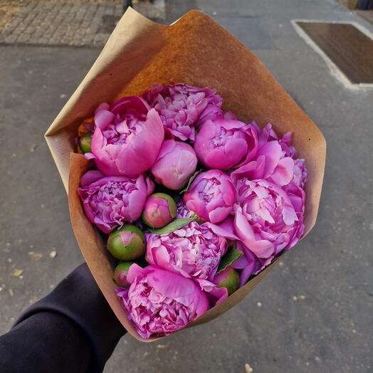 30 Peonie medium