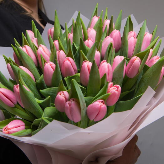 Tulip Classic