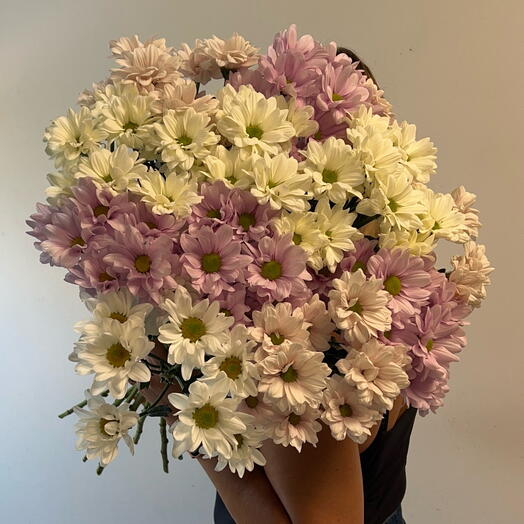 Chrysanthemum mix bouquet