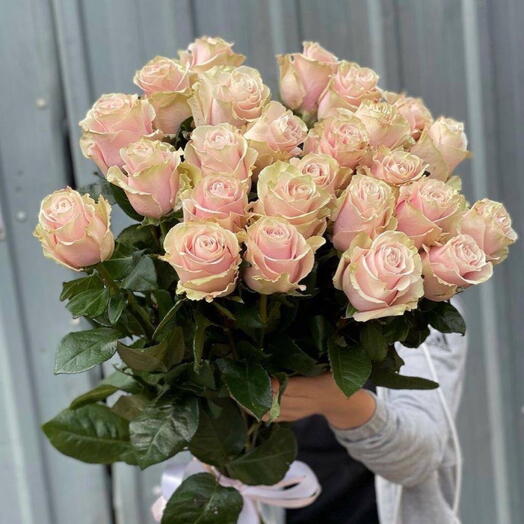25 Pink Mondial ROSES