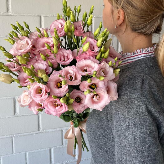 Pink like a roses