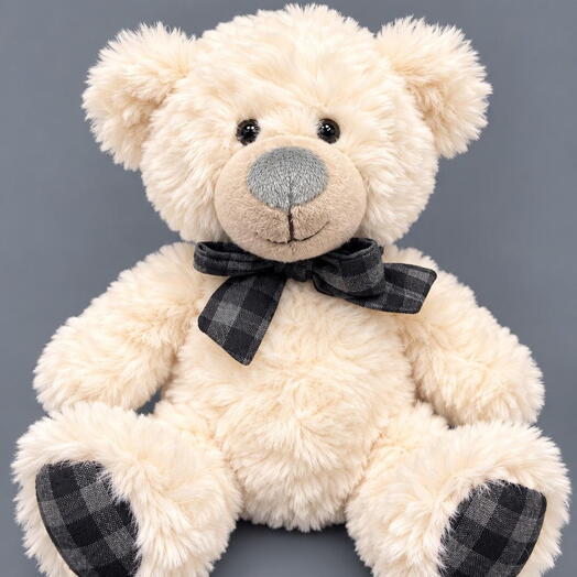 Teddy Bear with a Bow Plush Toy
