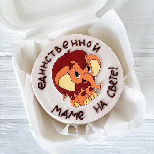 Bento cake mama