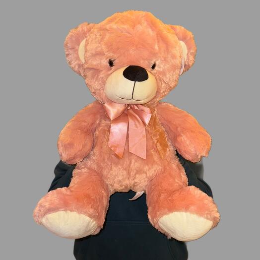 Teddy bear