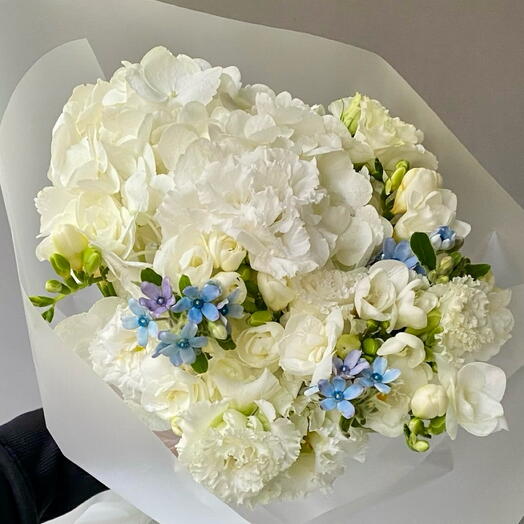 White blue mix S