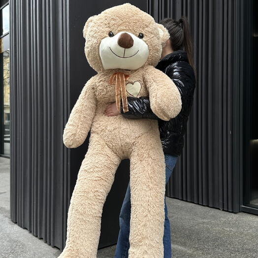 Teddy bear 🧸