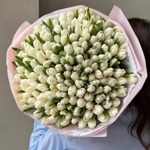 Biały tulipan 101szt