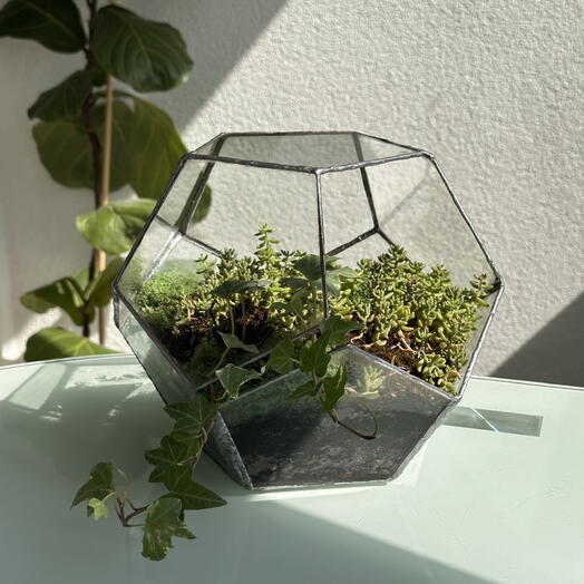Florarium 37