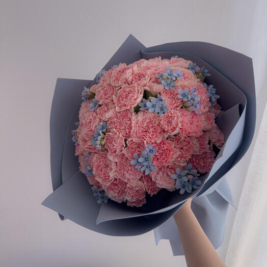 Pink carnation cloud