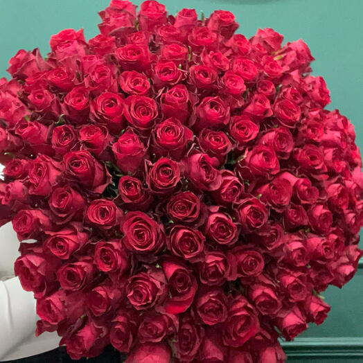 Red Roses - 111