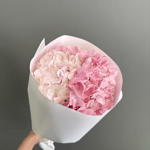 Pink Hydrangea cloud (Size S)