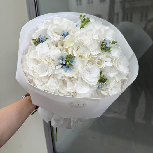 Hortensia woman