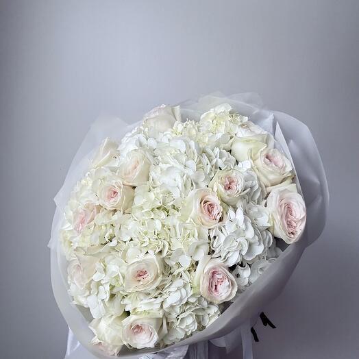 White Hydrangea and O'Hara