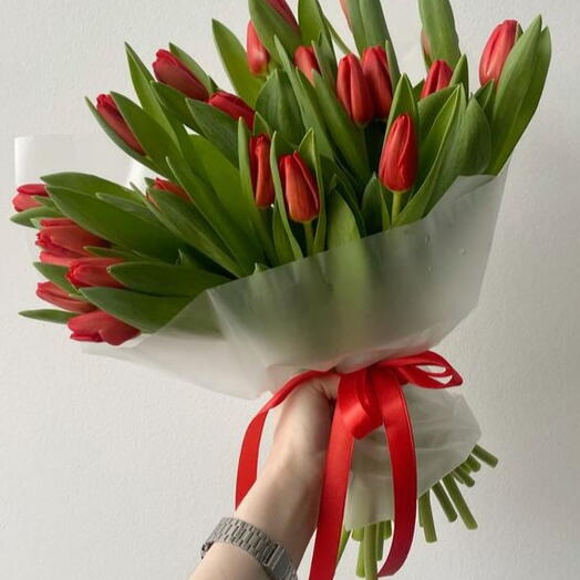 Red Tulips