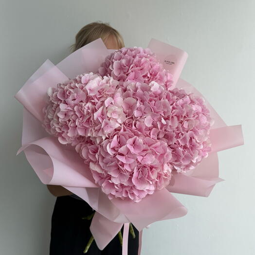 PINK hydrangeas