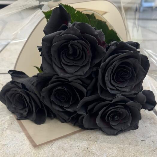 Black Roses 5kpl