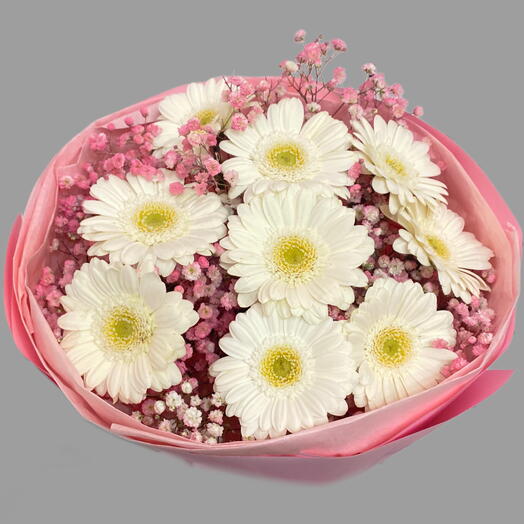 Bouquet of the day with white gerberas and pink gypsophila