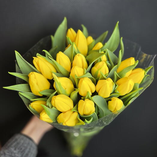 25 żołtych tulipanow yellow tulips