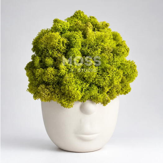 Preserved Moss Vase Delight