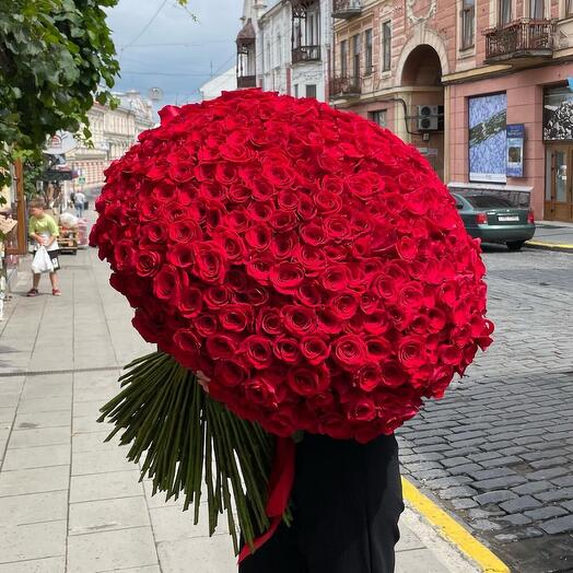 505 roses