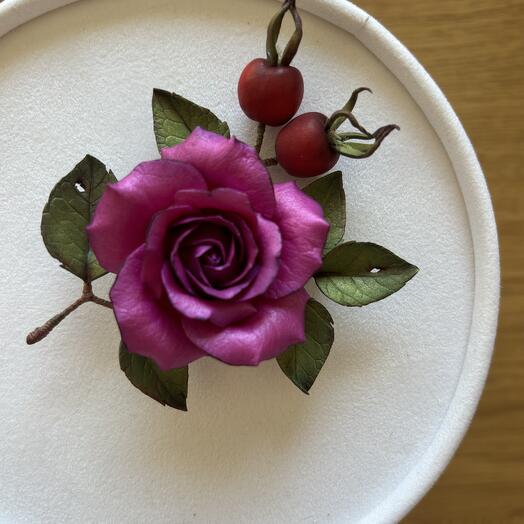Rose fuchsia