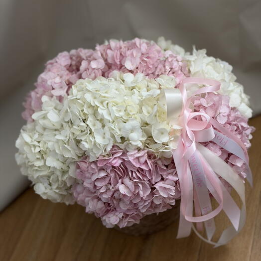 Hydrangea in a box