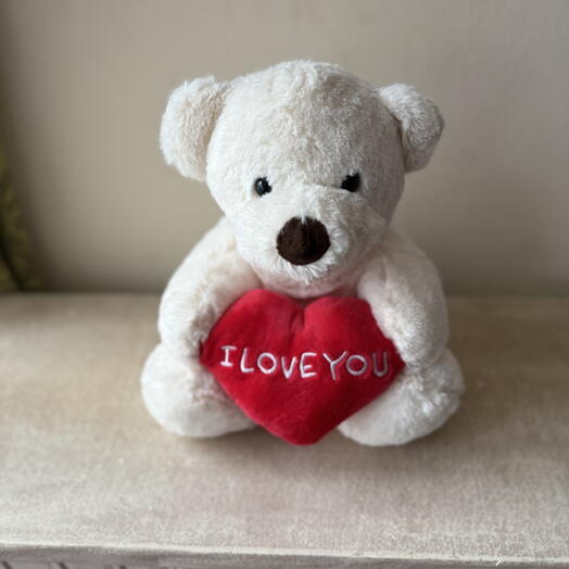 Teddy Bear with I Love You Heart