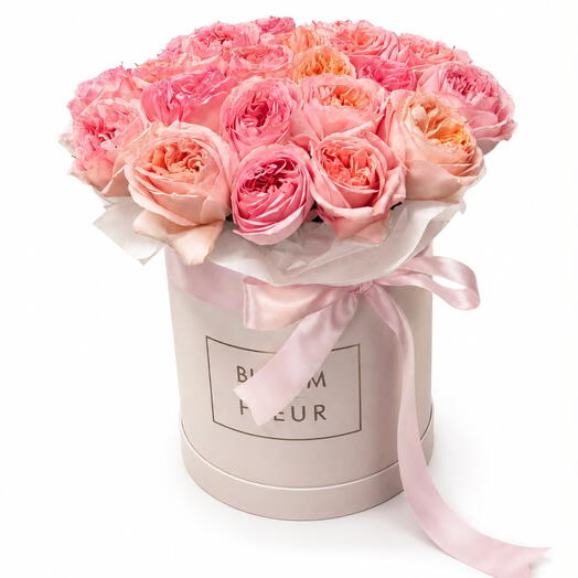 Rose Pion